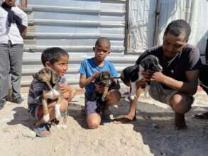 PUPPIES AWAITING TREATMENT AT OUR MOBILE CLINIC