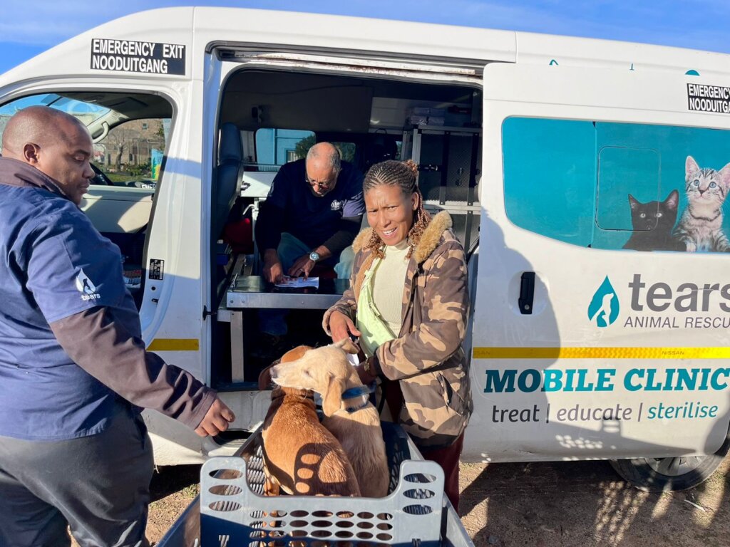VRYGROND PUPS BEING TREATED AT OUR MOBILE CLINIC