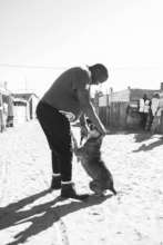 VRYGROND - SIVE GREETS A COMMUNITY DOG