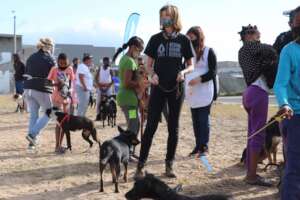 VRYGROND - TEARS PET CLINIC DAY