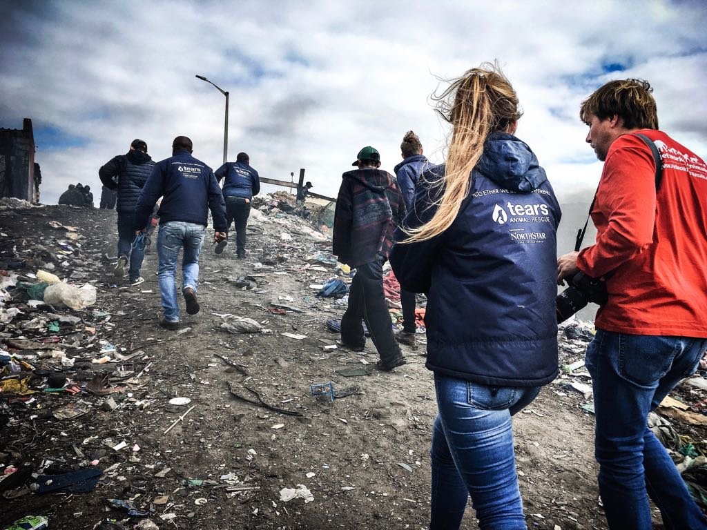 HELP ALLEVIATE MISERY FOR ANIMALS IN CAPE TOWN