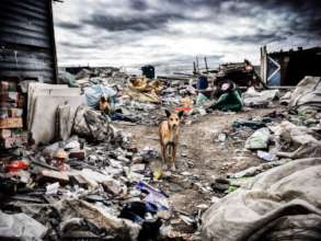 Capricorn- Scavenging for Food Amongst the Garbage