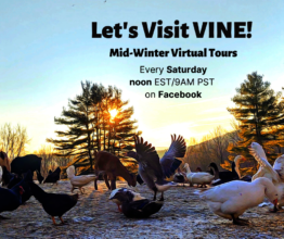 Virtual Tour Info