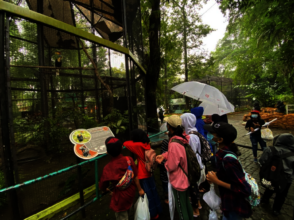 A trip to the zoo with kids from Yellow Flower!