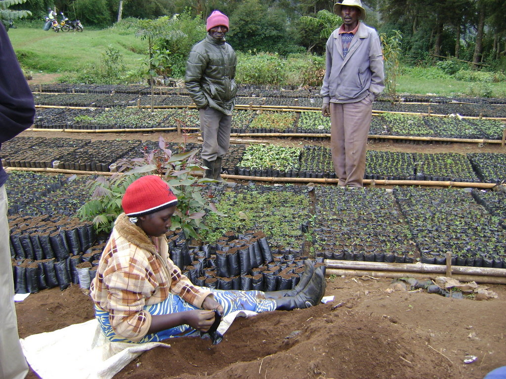 Rehabilitation of 'Kikuyu Escarpment' Kenya