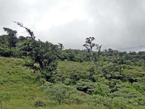 Fence running top to bottom constructed in 2009