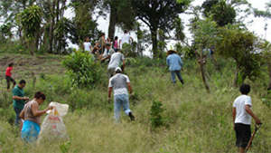 Planting on Environment Day 2009