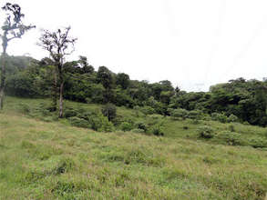 David Alvarez corridor area