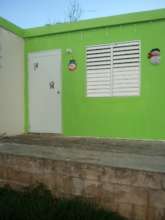 Paint and Christmas decorations show the joy!