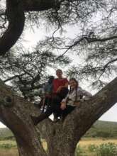 Beautiful Acacia Tree In Kenya