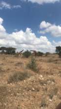 Long rains on the way to Kenya