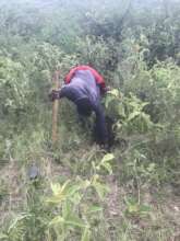 planting trees builds community