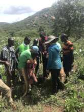 Kenya collaboration