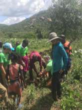 Everyone all together enjoyed planting trees!!