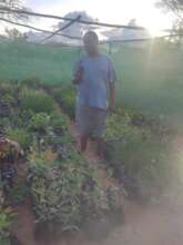 Dalmas in the nursery 8 February 2024
