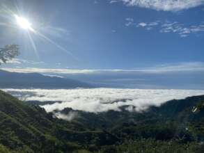 EQUATOR TREES RECYCLE RAIN INTO COOL CLOUDS