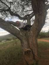 Tree Jenny Sitting in Acacia Tree Enkutoto Nalala