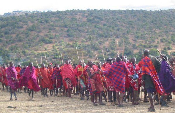 MAASAI COMMUNITY CARBON TREES AFRICA