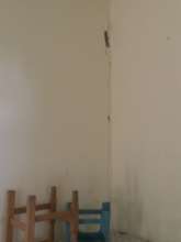 Student Housing Damage
