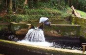 Sustainable Water Conservation Action Plan