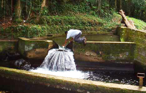 Sustainable Water Conservation Action Plan