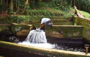 Sustainable Water Conservation Action Plan