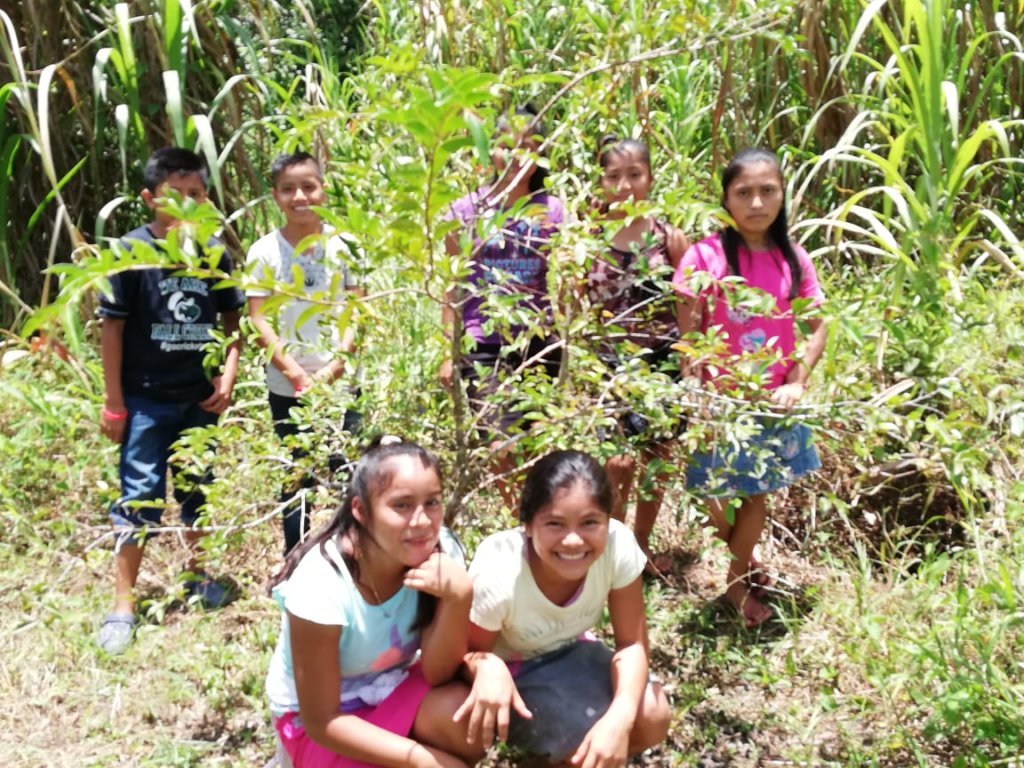 Fruit Trees to Feed Guatemalan Children