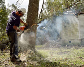 A Volunteer Doing Chainsaw Work and Debris Removal