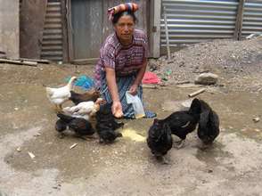 Provide microloans for 30 Guatemalan women