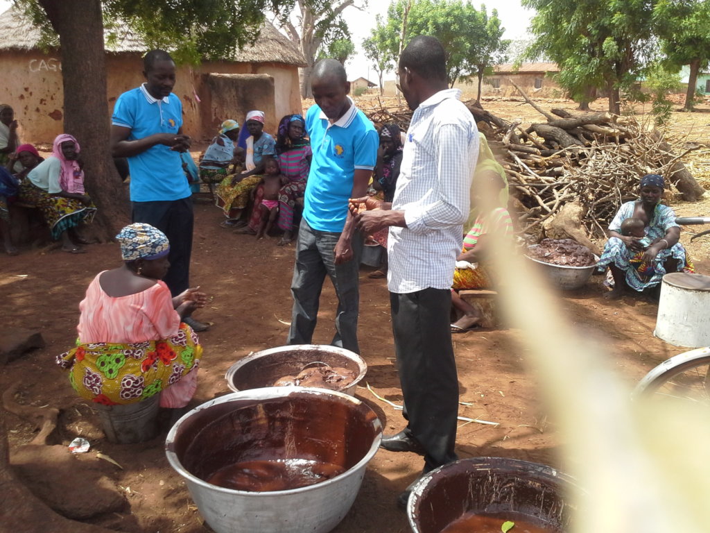 Shea Butter Processing Facilities for Women Groups