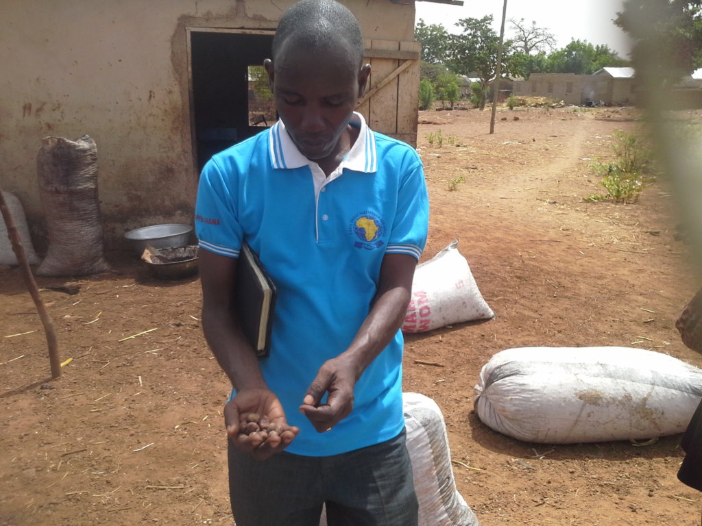 Shea Butter Processing Facilities for Women Groups