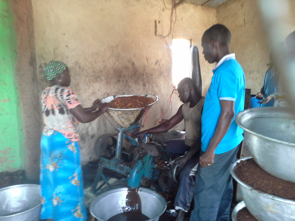 Shea Butter Processing Facilities for Women Groups