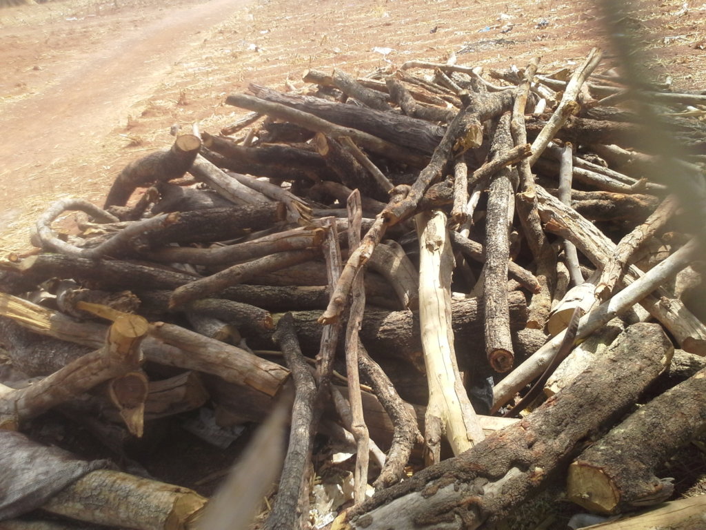 Shea Butter Processing Facilities for Women Groups