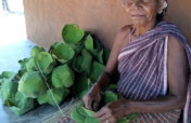 Help 300 tribal women scale their enterprise