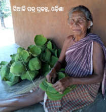 Help 300 tribal women scale their enterprise