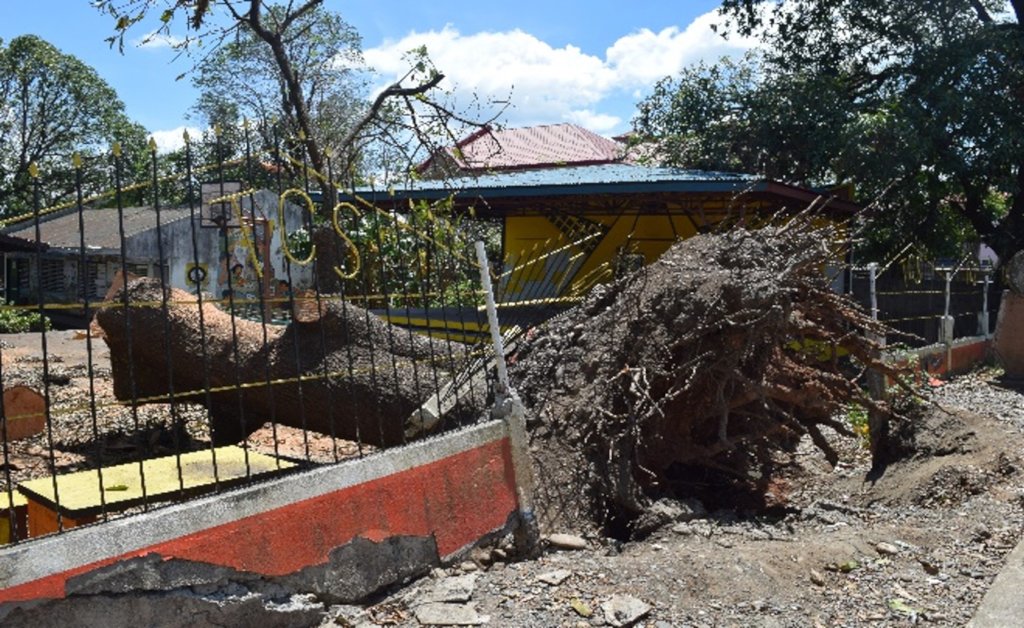 Helping the Mangkhut victims in Abra, Philippines