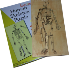 Human Skeleton Puzzle