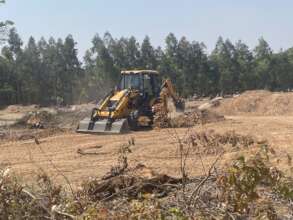 Land Clearing for construction