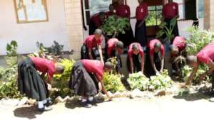 Girls Students at Jipe Moyo School - 4