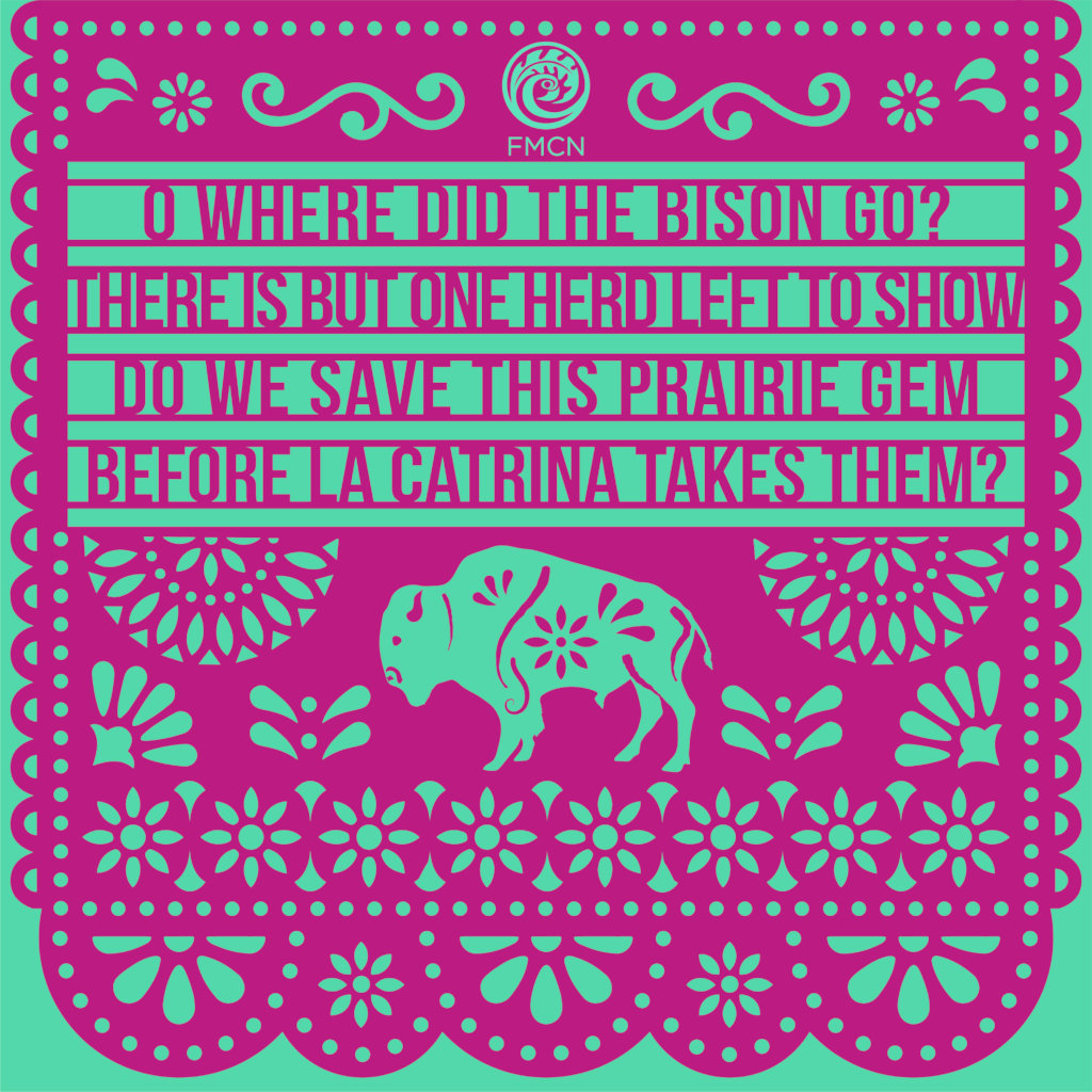Help Save 3 Endangered Grassland Species in Mexico