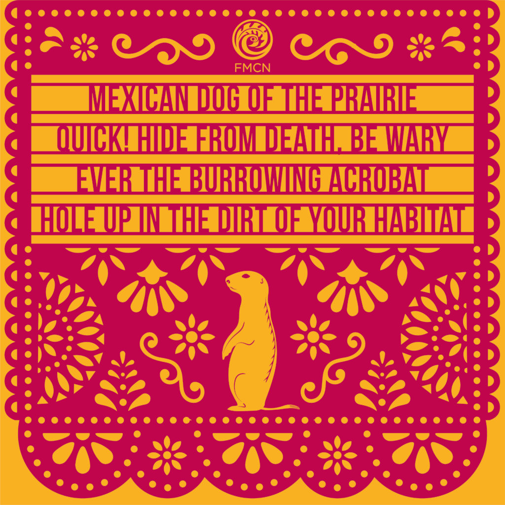 Help Save 3 Endangered Grassland Species in Mexico