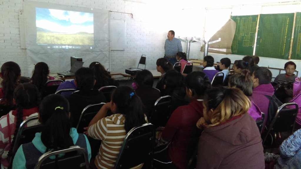 Help Save 3 Endangered Grassland Species in Mexico