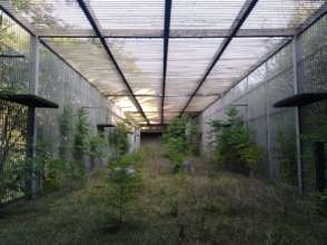 Golden eagle rehabilitation facilities.