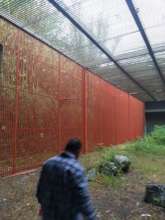 Golden eagle rehab facilities during maintenance