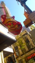 A little fun, too - Hard Rock Cafe in IN
