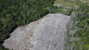 View of addional land to expand the corridors