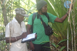 SEED's SCRP team on a herpetofauna transect in S8