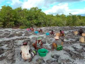 Sainte Luce community members planting seedlings