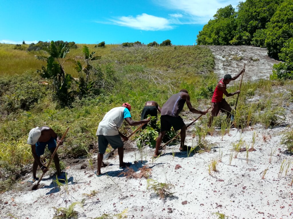 Community members clearing firebreaks