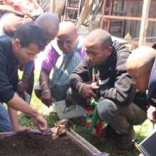 Worm composting training